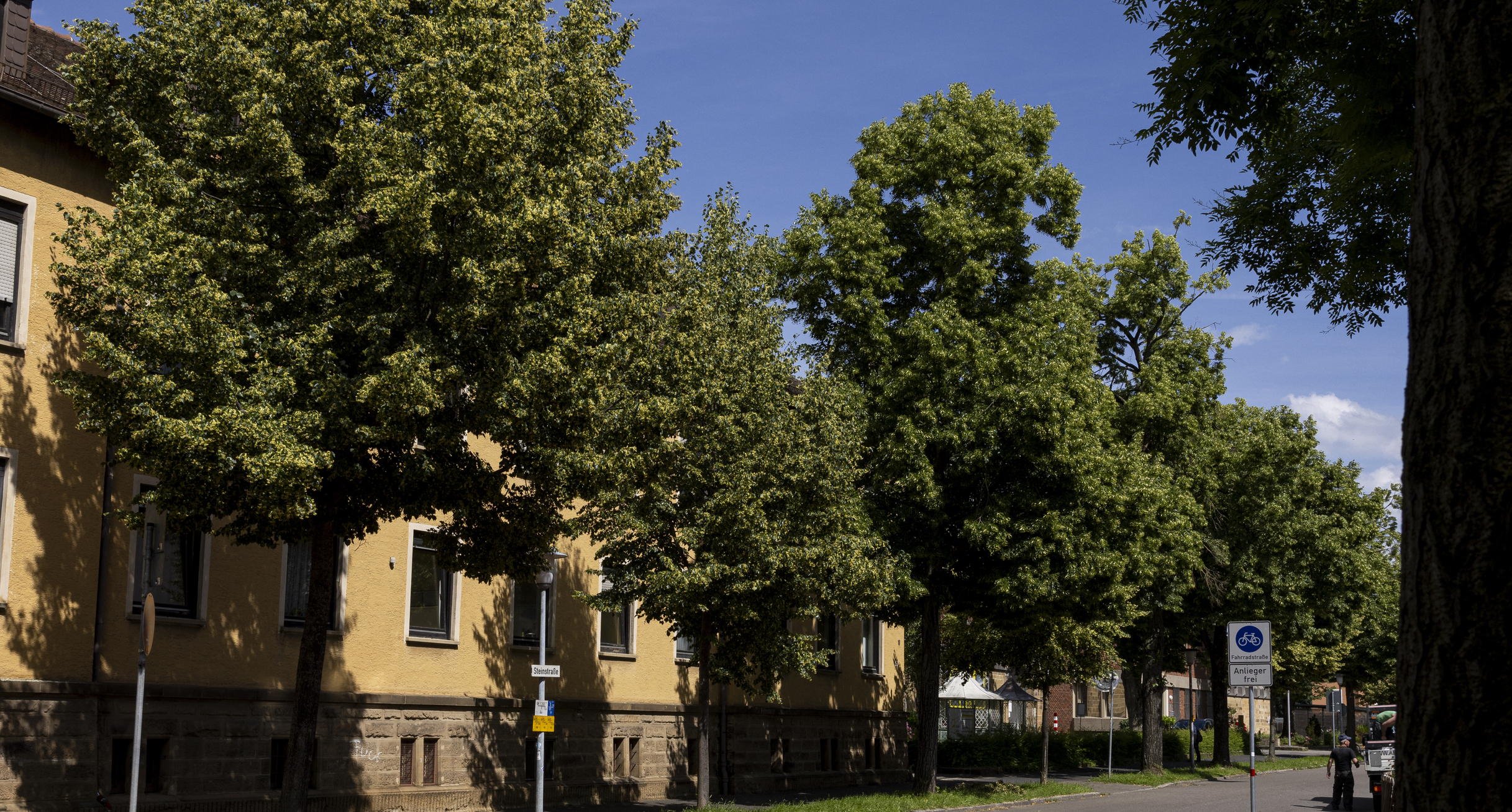 Frontansicht des Freigängerheims, davor stehen Bäume